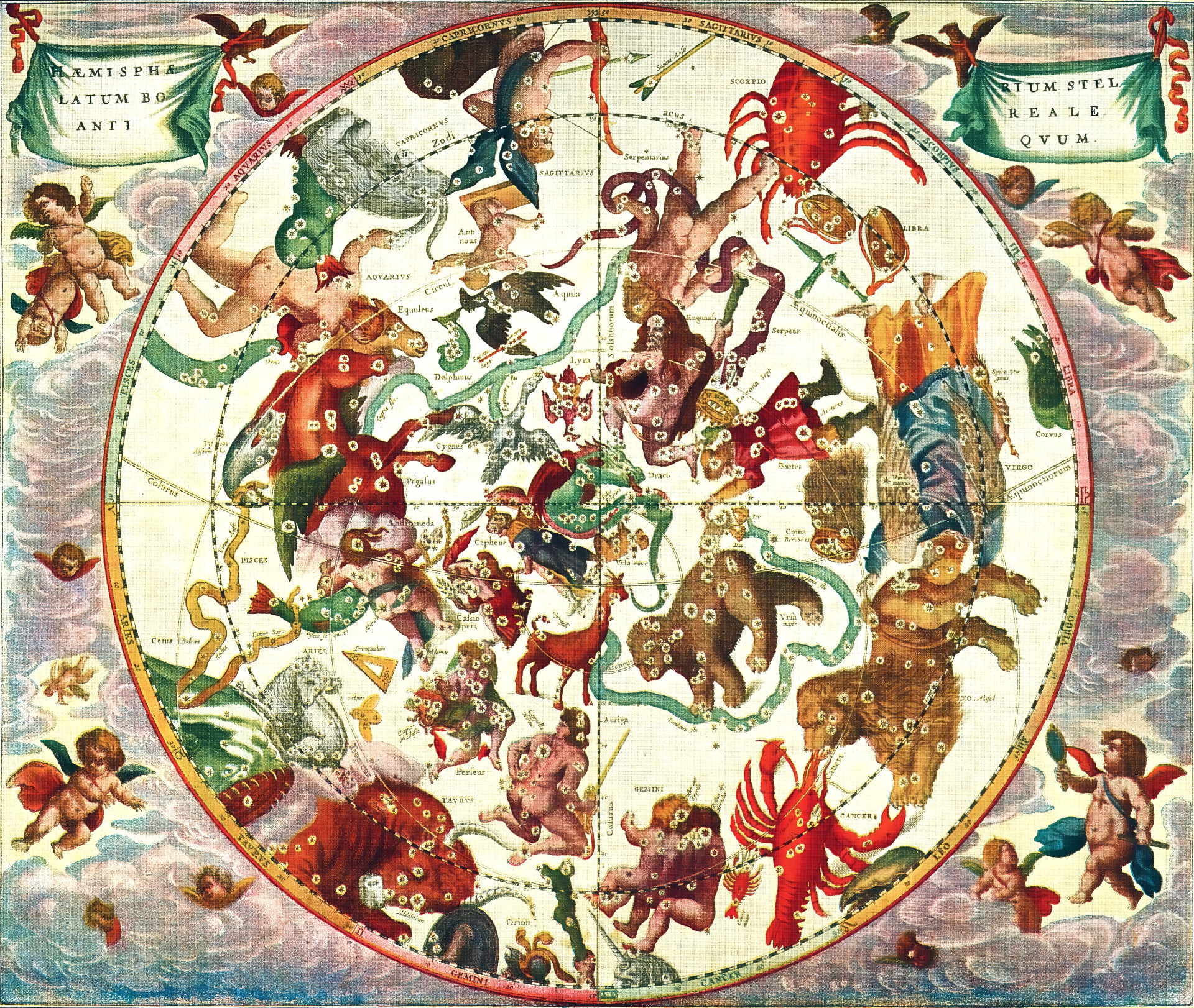 A Baroque celestial hemisphere map, depicting the constellations of the northern sky as mythological figures and animals. The circular map is bordered by a red ring marked with constellation and zodiac names. Within the map, labelled constellations appear as colourful illustrated characters: Aquarius pouring water, a large red Scorpion, Cancer as a red lobster, Pegasus as a winged horse, Ursa Major and Minor as bears, Orion, Perseus, Cygnus, Boötes, Virgo, Draco, Andromeda, and many others. Star positions are marked with small white rosettes. The map is overlaid with grid lines indicating celestial coordinates including the equinoctial and solstitial colures. The corners of the image are decorated with cherubs (putti) floating among pink and blue clouds. 