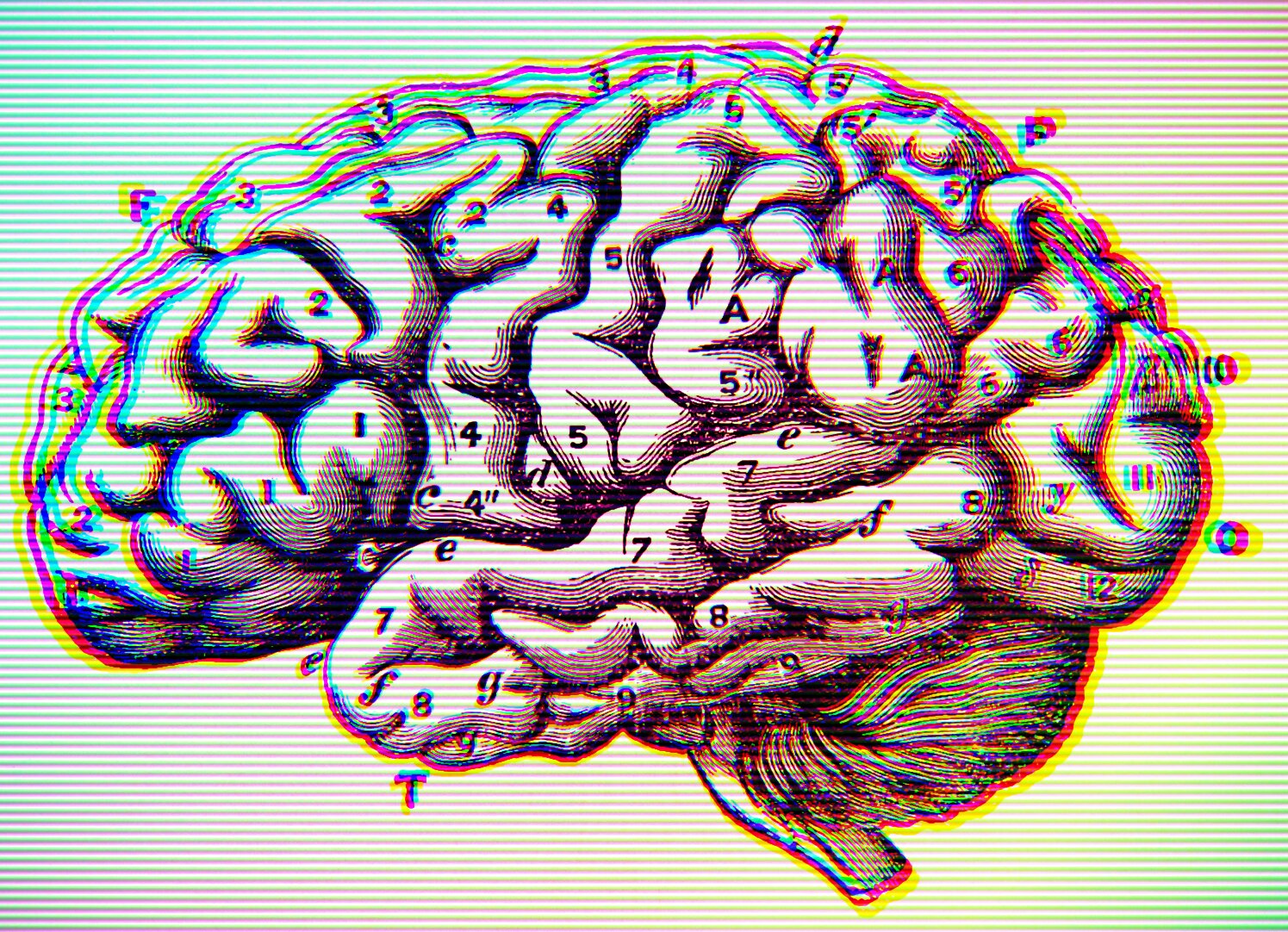 A 19th-century-style anatomical diagram of the human brain in lateral cross-section, rendered in fine engraving style with black-and-white linework. The brain's gyri (folds) and sulci (grooves) are depicted in detail, with numbers (1–10) and lowercase letters (a–g) labeling specific lobes, fissures, and structures including what appear to be the cerebral cortex, cerebellum, brainstem, and ventricular regions. The image has been digitally processed with a glitch or chromatic aberration effect, creating rainbow color fringing (cyan, magenta, yellow, green) around all edges and a horizontal scan-line pattern across the entire image, evoking a CRT monitor or analog video distortion aesthetic.
