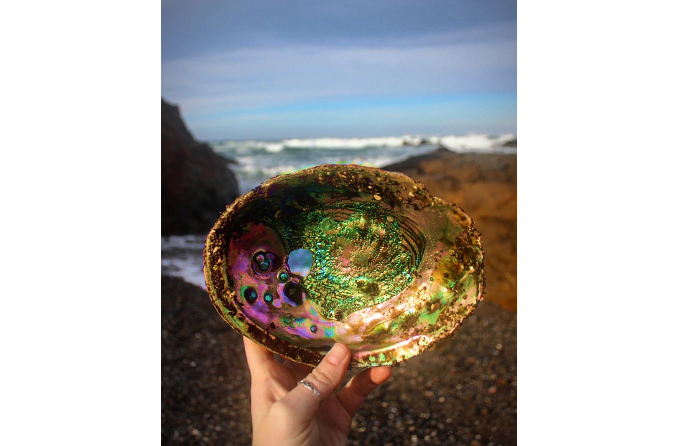 A hand holding an abalone shell up toward the camera on a rocky beach, displaying its iridescent interior of swirling greens, purples, pinks, and golds with characteristic respiratory holes visible on the left side. Crashing ocean waves and dark coastal rocks are visible in the blurred background under a partly cloudy sky.