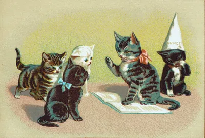 Vintage illustration of five kittens in a classroom scene. A grey tabby kitten wearing a pink bow sits upright on an open book, one paw raised as if reciting or answering a question. Facing it are a brown tabby kitten, a white kitten, and a black kitten with a light blue bow, watching attentively. At the far right, a black-and-white kitten wearing a tall pointed 'DUNCE' cap covers its face with one paw in shame. The scene has a mottled sepia-and-gold background typical of Victorian-era chromolithograph cards.
