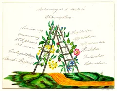 Hand-painted watercolor illustration titled 'Matrimony as it should be — Solemnization.' Two wooden ladders lean together to form an A-frame or peak shape, planted in a grassy hillside split by an orange dirt path. The ladders are entwined with vines bearing yellow round flowers, green berries, a pink wild rose with red rosebuds, and small blue star-shaped flowers. Flowing cursive text fills the space on either side of the ladders. On the left: 'Love increasing, Cure unceasing, To be pleasing, Will secure, Earth's greatest blessing, Domestic Happiness.' On the right: 'Acceptation, Approbation, Soft persuasion, Hesitation, Declaration, Admiration.' A small museum accession number, '1961-105-71,' appears in the bottom right corner.