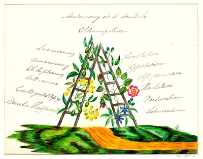 Hand-painted watercolor illustration titled 'Matrimony as it should be — Solemnization.' Two wooden ladders lean together to form an A-frame or peak shape, planted in a grassy hillside split by an orange dirt path. The ladders are entwined with vines bearing yellow round flowers, green berries, a pink wild rose with red rosebuds, and small blue star-shaped flowers. Flowing cursive text fills the space on either side of the ladders. On the left: 'Love increasing, Cure unceasing, To be pleasing, Will secure, Earth's greatest blessing, Domestic Happiness.' On the right: 'Acceptation, Approbation, Soft persuasion, Hesitation, Declaration, Admiration.' A small museum accession number, '1961-105-71,' appears in the bottom right corner.