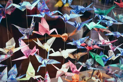 Dozens of origami paper cranes in a wide variety of colours and patterns. Blues, pinks, reds, greens, white, and earth tones, many made from patterned washi-style paper with florals and stripes, suspended from thin strings against a blurred warm-toned background.