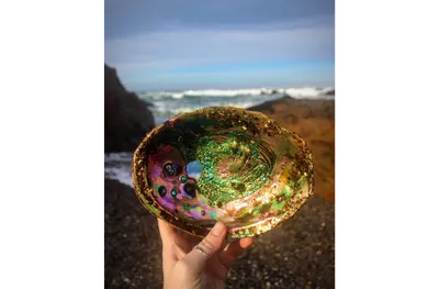 A hand holding an abalone shell up toward the camera on a rocky beach, displaying its iridescent interior of swirling greens, purples, pinks, and golds with characteristic respiratory holes visible on the left side. Crashing ocean waves and dark coastal rocks are visible in the blurred background under a partly cloudy sky.